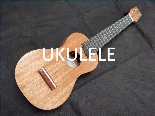 ukulele lessons online